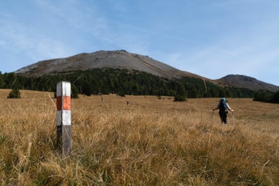 旅行者在森林附近的斜坡在白天
